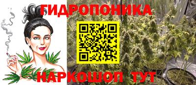 Альфа ПВП Беслан
