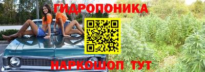 Альфа ПВП Беслан