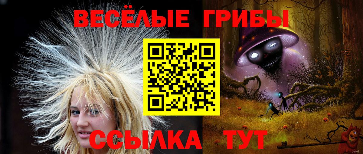 Псилоцибиновые грибы MAGIC MUSHROOMS Ишим